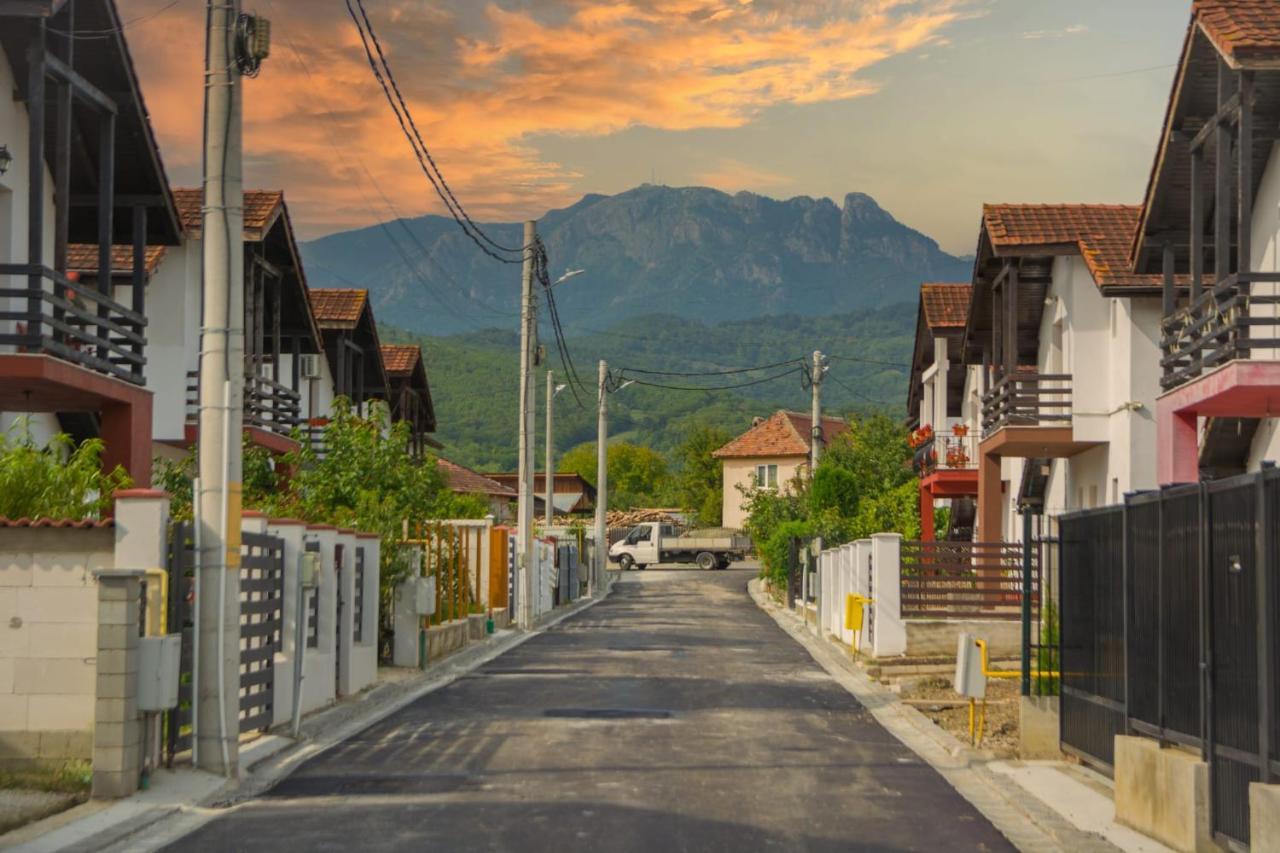Casa Gabrielle Villa Călimăneşti Buitenkant foto